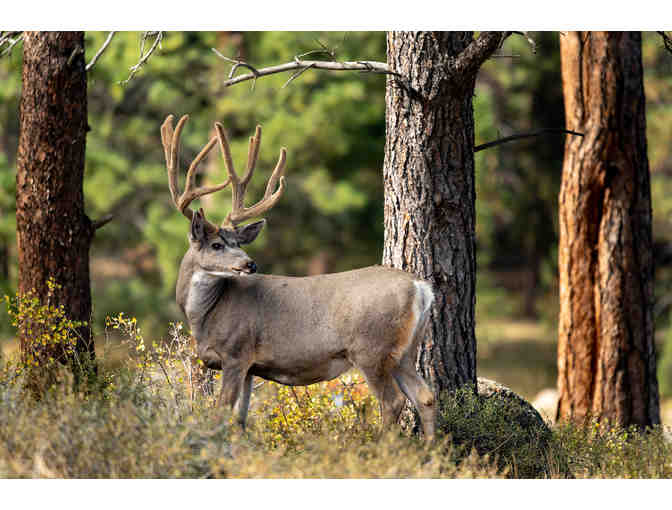 Colorado Front Range Adventure Getaway