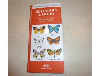 Butterfly and moth guide