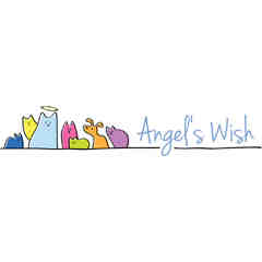 Friend of Angel's Wish