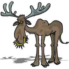 Moose Creek Deli & Catering