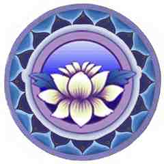 Mimosa Books & Gifts