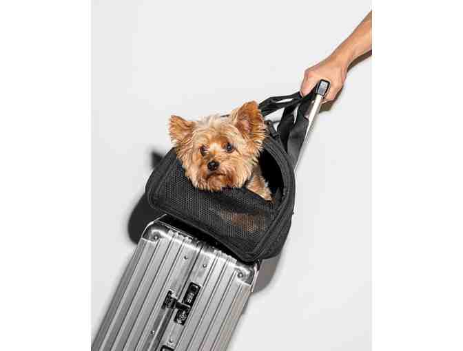 Wild One Pet Carrier, Airline Compliant