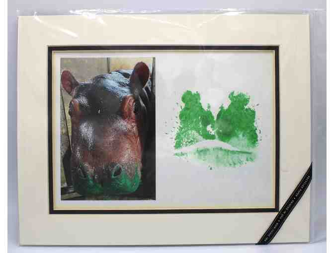 Cincinnati Zoo and Botanical Garden Package