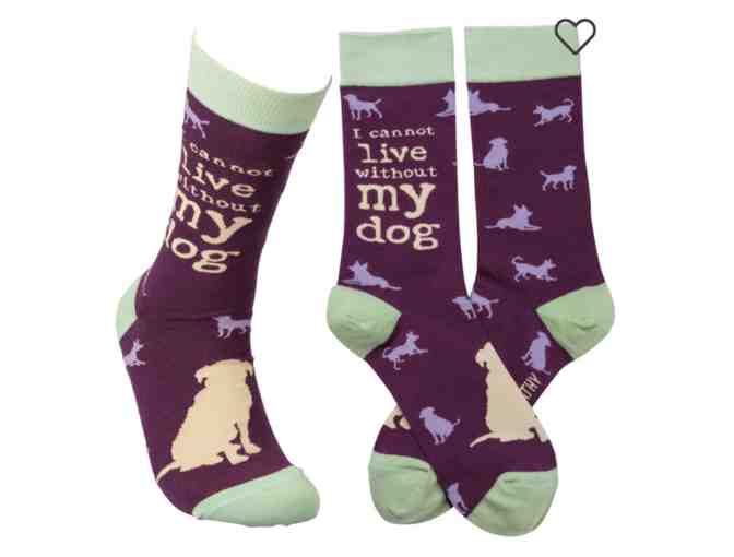 Dog is Good Socks - I Cannot Live Without My Dog - Photo 1