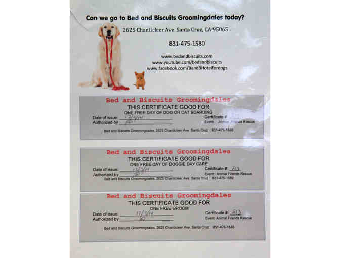 Bed & Biscuits Toy Basket with Gift Certificates