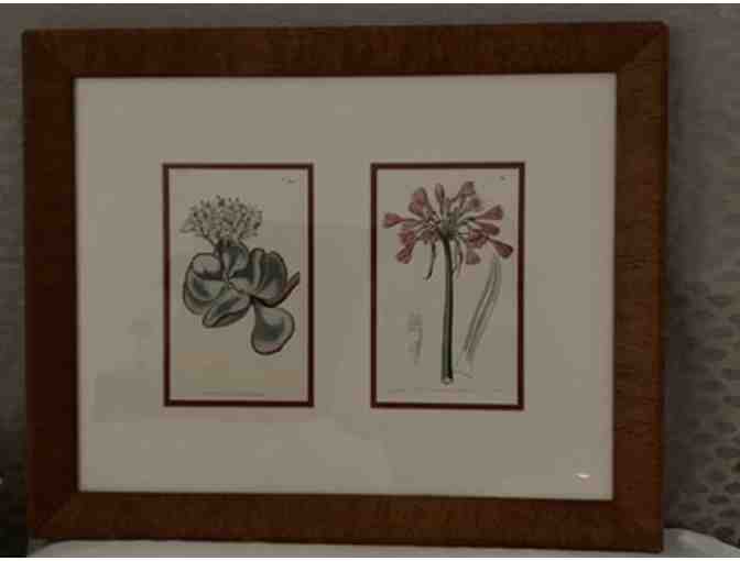 Pair of antique floral prints In single frame
