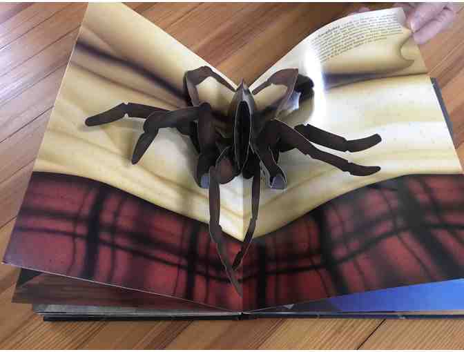 Rare: The Popup Book of Phobias by Gary Greenberg