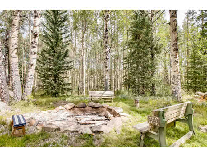 Colorado Mountain Tranquility, Wildlife, and Six Acres of Privacy
