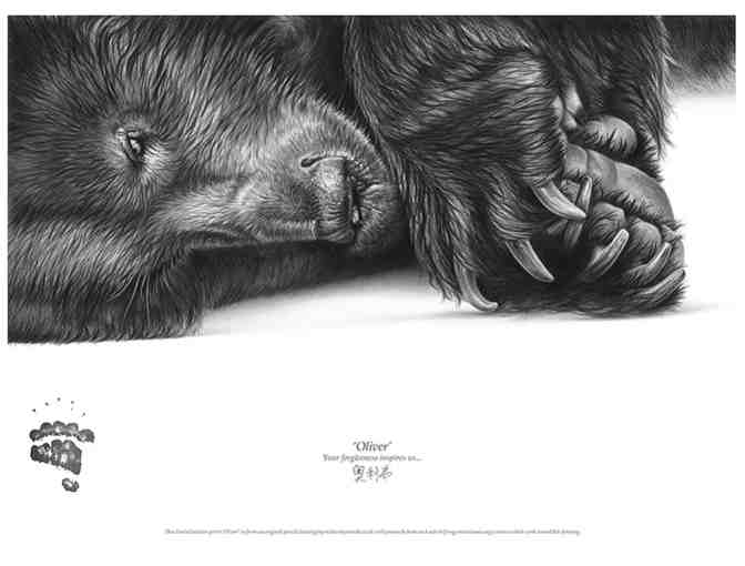 Half Day Wildlife Photography/Art Lesson with Renowned Wildlife Artist Richard Symonds