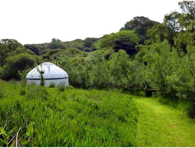 Family Pass to The Eden Project in Cornwall with 3-Night Yurt Stay - Photo 10