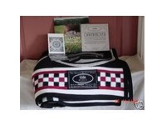 Scalamandre Ancient Blanket Series - design by Roberta Sakiestewa