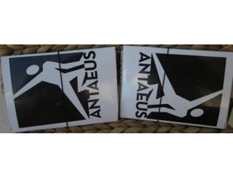 Handmade Wallet featuring Antaeus' 'King Lear' Artwork