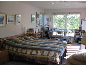 A Walk in Acadia National Park