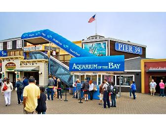 Aquarium of the Bay - 2 Tickets