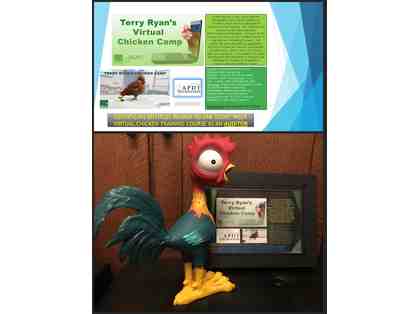KARE/Terry Ryan Chicken Camps - Virtual Course