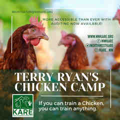 KARE Chicken Camps