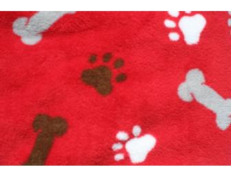 The Warmest Place of All book and blanket