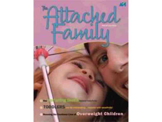 The Attached Family magazine set (Volume 13)