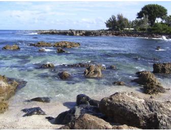 Hawaiian Polynesian Adventure