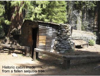 Find the Biggest Trees: Your Adventure in Sequoia and Kings Canyon