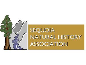 Find the Biggest Trees: Your Adventure in Sequoia and Kings Canyon