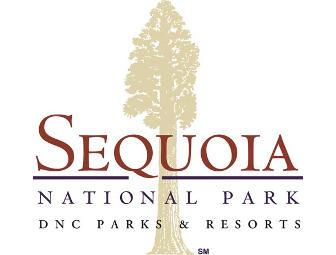 Find the Biggest Trees: Your Adventure in Sequoia and Kings Canyon