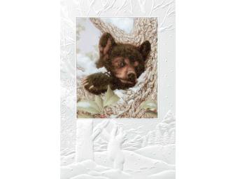 Assortment of Pumpernickel Press Boxed Christmas Cards