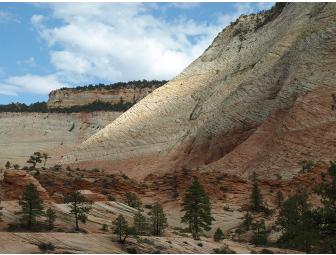 Plateau Palooza Package