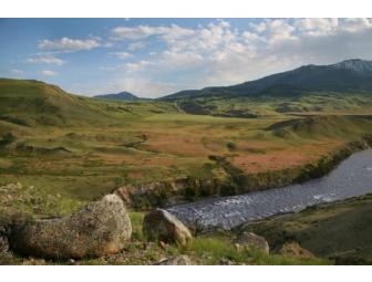 Summer Yellowstone Sampler