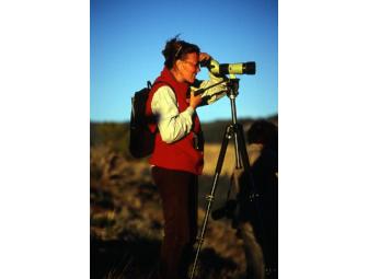 Summer Yellowstone Sampler