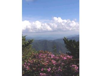 Hiking the Smokies High Country