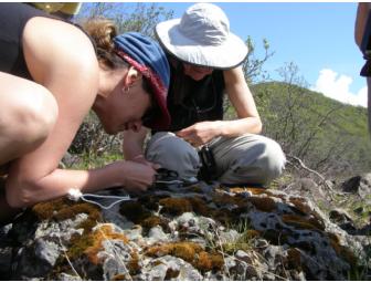 Behind-the-Scenes Denali Exploration for Two