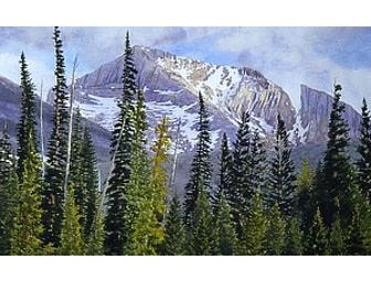 Discover Rocky Mountain National Park - Up Close