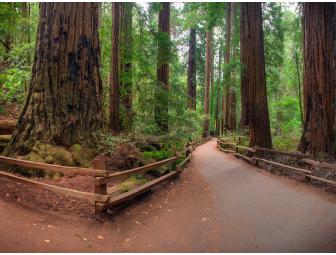 Golden Weekend at the Golden Gate