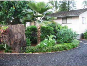 Hawaiian Polynesian Adventure