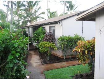 Hawaiian Polynesian Adventure