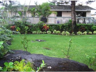 Hawaiian Polynesian Adventure