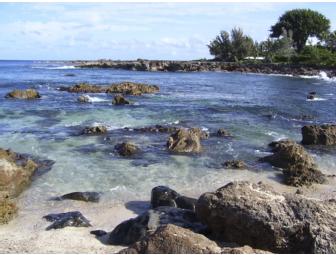 Hawaiian Polynesian Adventure