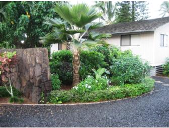 Hawaiian Polynesian Adventure