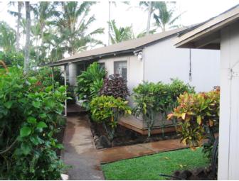 Hawaiian Polynesian Adventure