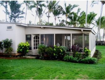 Hawaiian Polynesian Adventure