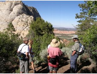 Zion National Park Experience