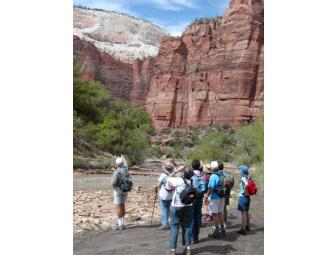 Zion National Park Experience