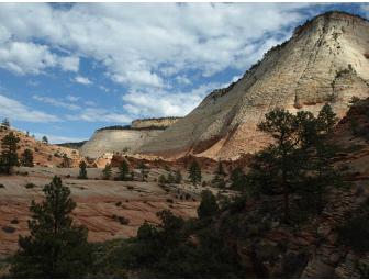 Zion National Park Experience