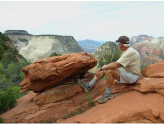 Zion National Park Experience