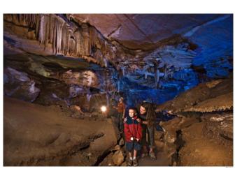 The Ghosts of Giant Forest