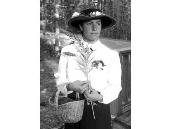 The Ghosts of Giant Forest