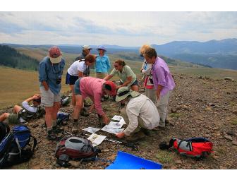 Summer Yellowstone Sampler