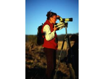 Summer Yellowstone Sampler