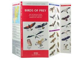 Waterford Press Pocket Naturalist Guides - 18 pack